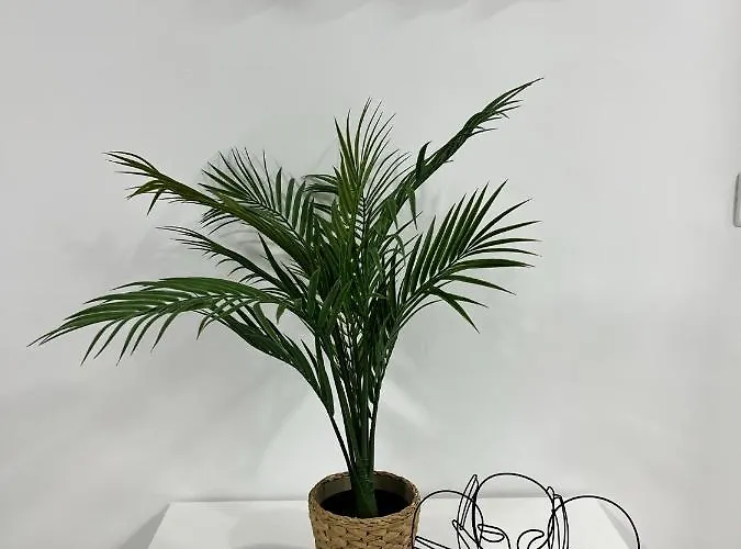 Apartamento Paseo Marítimo 27 *